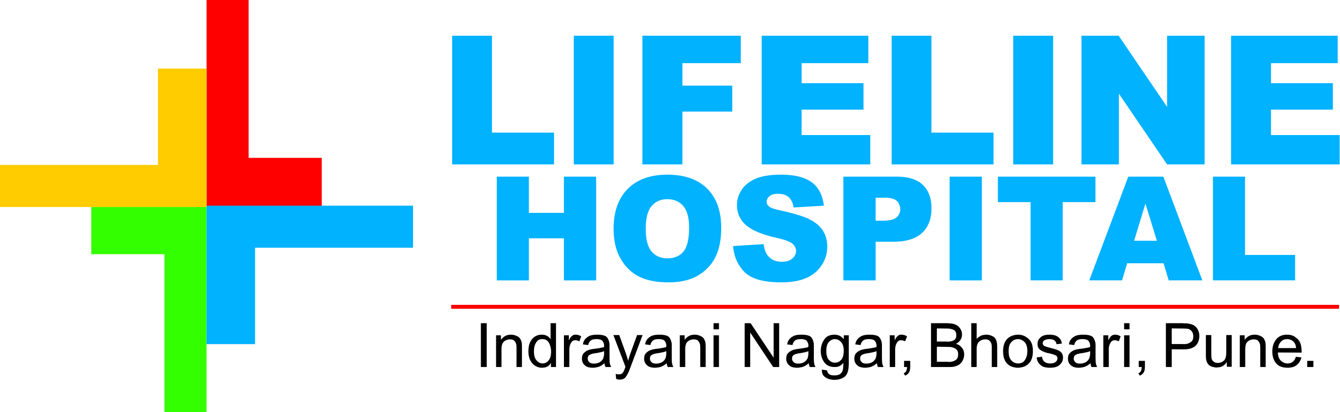 Lifeline Hospitals logo