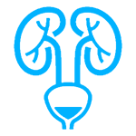 Liver Transplant, GI Surgery & GI Oncology 